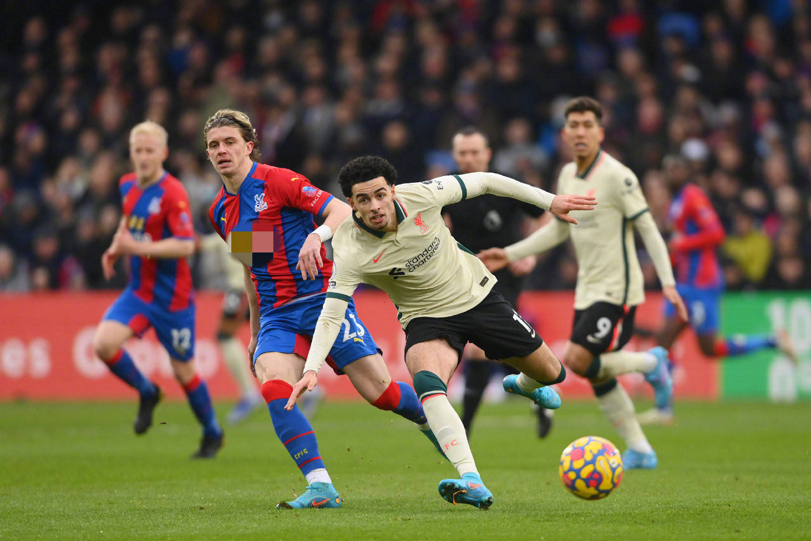 篮板也只剩 篮板也只剩